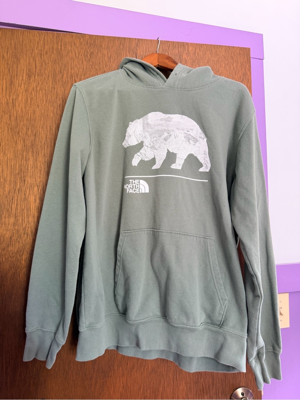 The North Face Men's Sage Green Crewneck Hoodie with Bear Graphic